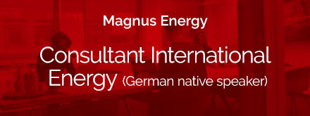 Consultant-International-Energy-German-nativespeaker